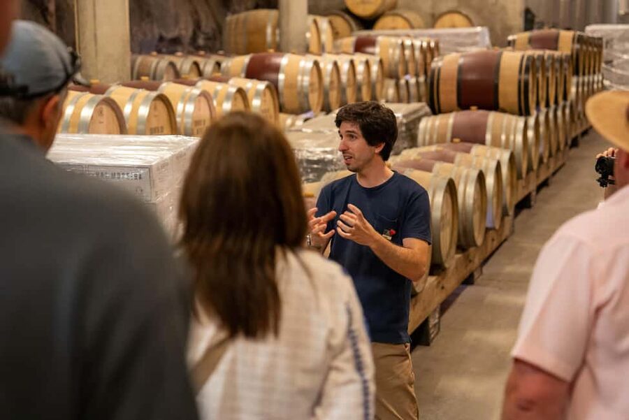 From Porto: Small Group Douro Valley Tour with Wine & Cruise - Who should book this Douro Valley tour?