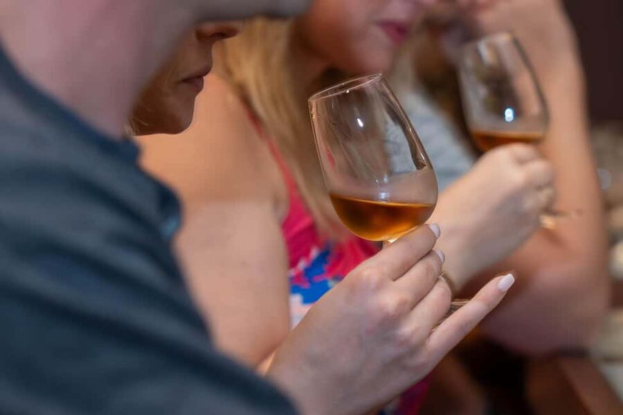From Porto: Small Group Douro Valley Tour with Wine & Cruise - Small group comfort and the role of the guide