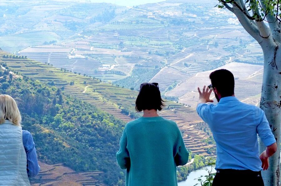 From Porto: Small-Group Douro Valley Wine Tour Lunch & Boat - Why this Douro day feels different from a bus tour