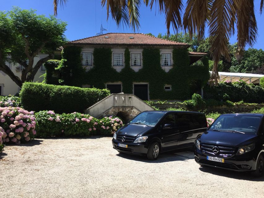 From Porto: Small-Group Douro Valley Wine Tour Lunch & Boat - What the $91 price includes
