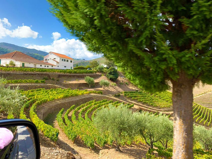 From Porto: Small-Group Douro Valley Wine Tour Lunch & Boat - The pace, group size, and practical limits