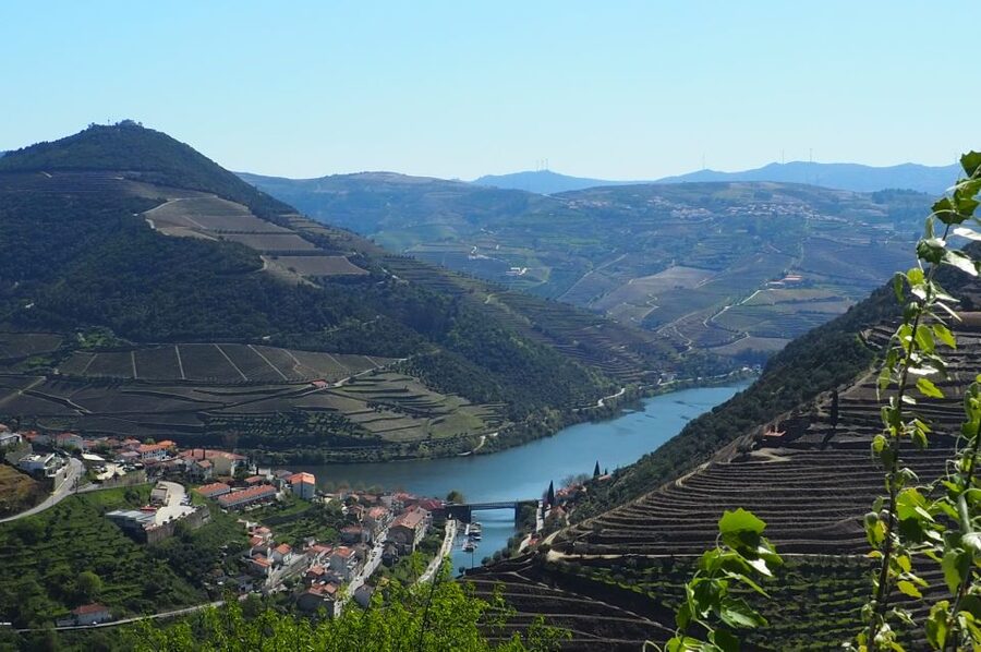 From Porto: Small-Group Douro Valley Wine Tour Lunch & Boat - Should you book it?