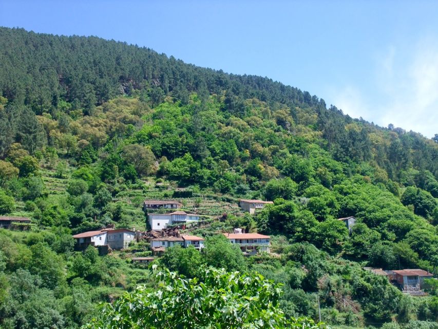 From Santiago: Ribeira Sacra & Sil River Canyon Boat Tour - Allariz offers a gentler afternoon