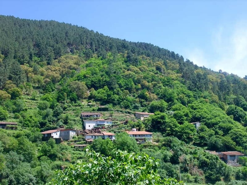 From Santiago: Ribeira Sacra & Sil River Canyon Boat Tour - What $74 includes, and what it does not