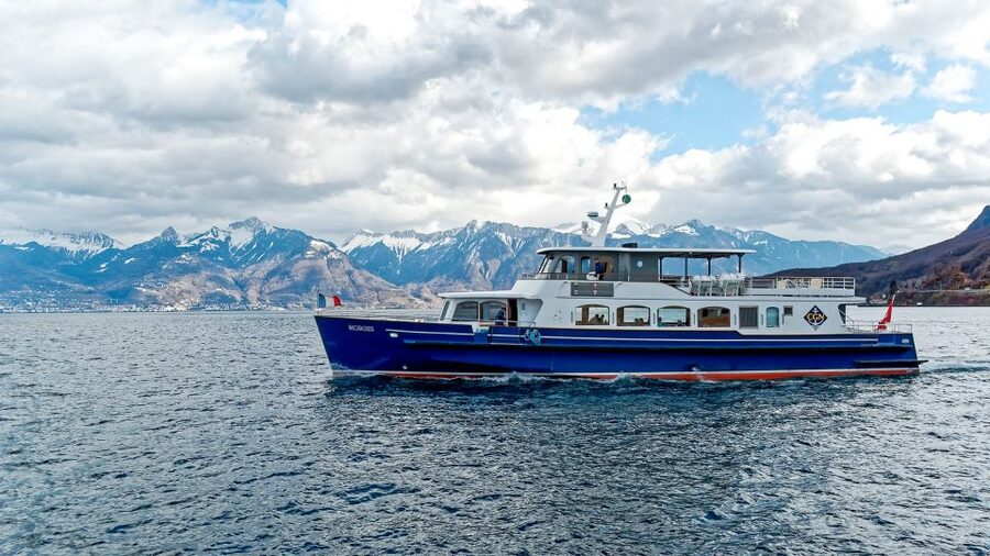 Geneva: 50-Minute Lake Geneva Cruise - Who should book this cruise?