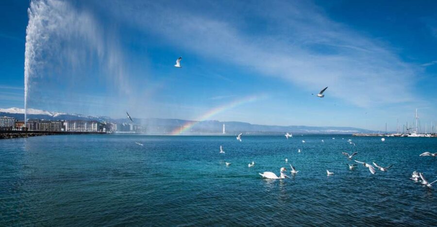 Geneva: Scenic Lake Cruise with Snacks and Wine - Wine, cheese, and simple Swiss snacks