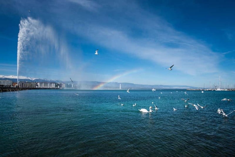 Geneva Walk & Cruise:The secrets of the Jet D'eau & apéritif - Geneva’s fountain began with machinery, not glamour