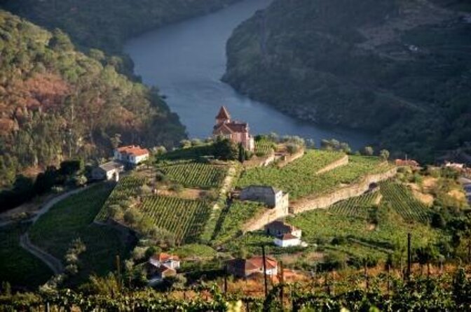Genuine Douro Valley Tour: Visit 2 Wineries, Lunch & River Cruise - Key points before you book
