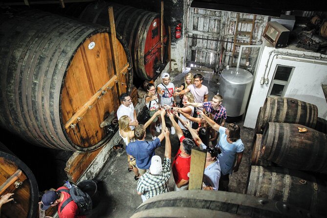 Genuine Douro Valley Tour: Visit 2 Wineries, Lunch & River Cruise - The rabello boat cruise on the Douro