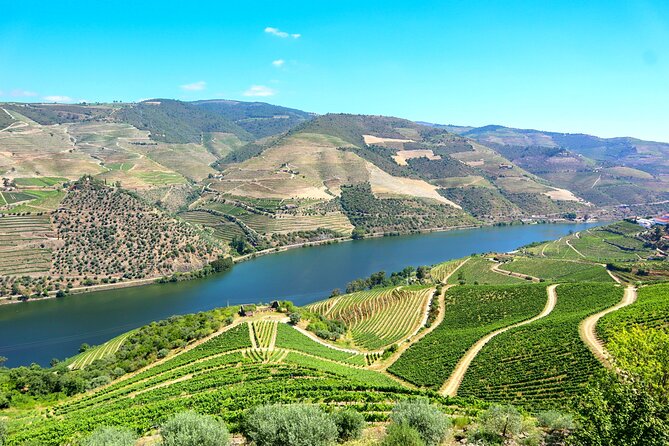 Genuine Douro Valley Tour: Visit 2 Wineries, Lunch & River Cruise - The drive from Porto and the N222