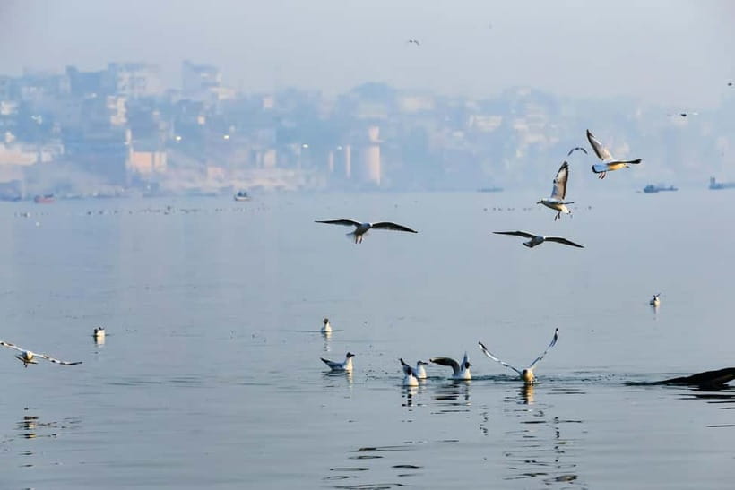 Golden Hour on the Ganges - Sunrise Boat Tour - Chai, street food, and useful local advice