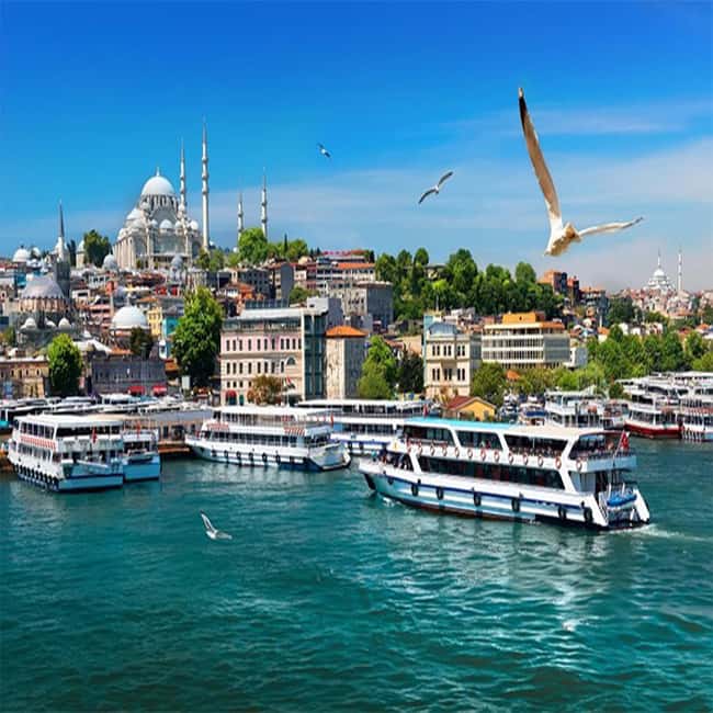 Istanbul: Bosphorus Cruise Morning or Sunset Boat Tour - Who should book this cruise?