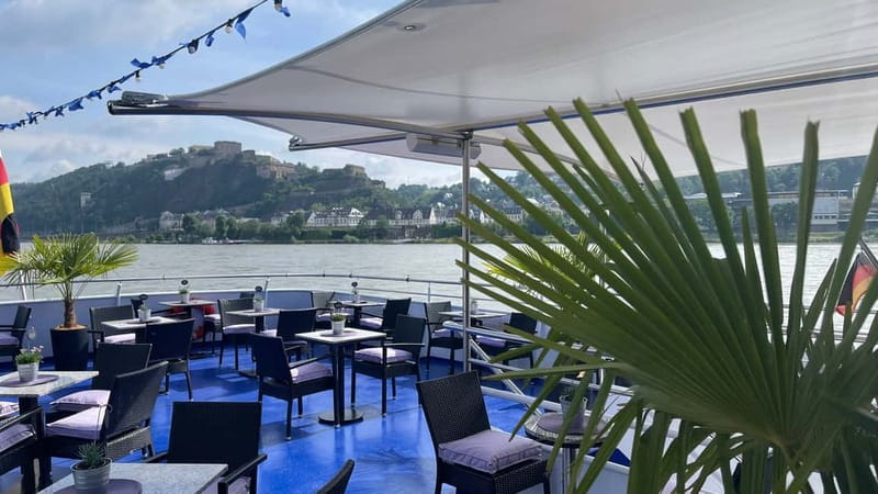 Koblenz:Rhine Valley boat tour along the castles and palaces - Comfort, access, weather, and dogs