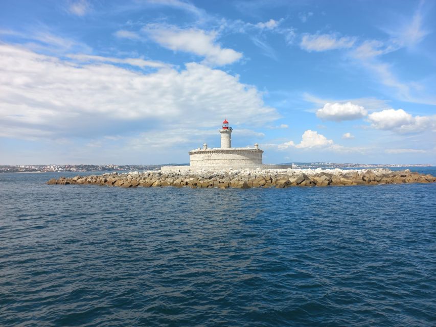 Lisbon: Tagus River Cruise to the Ocean & Dolphin Watching - Who should book this cruise?