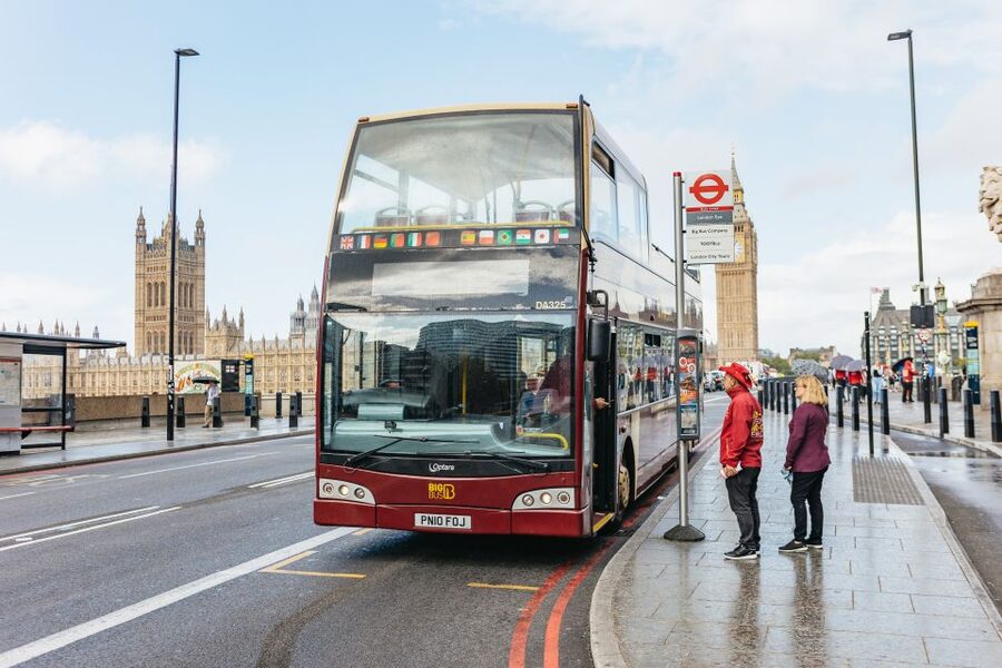London: London Eye, River Cruise, & Hop-on Hop-off Bus Tour - Westminster, Buckingham Palace, and the London Eye
