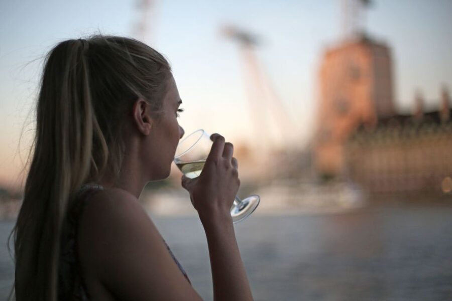 London: River Thames Evening Cruise with Bubbly and Canapés - Who should book this Thames cruise?
