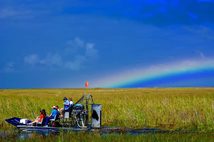 Miami: Everglades River of Grass Small Airboat Wildlife Tour - A quiet way into the River of Grass