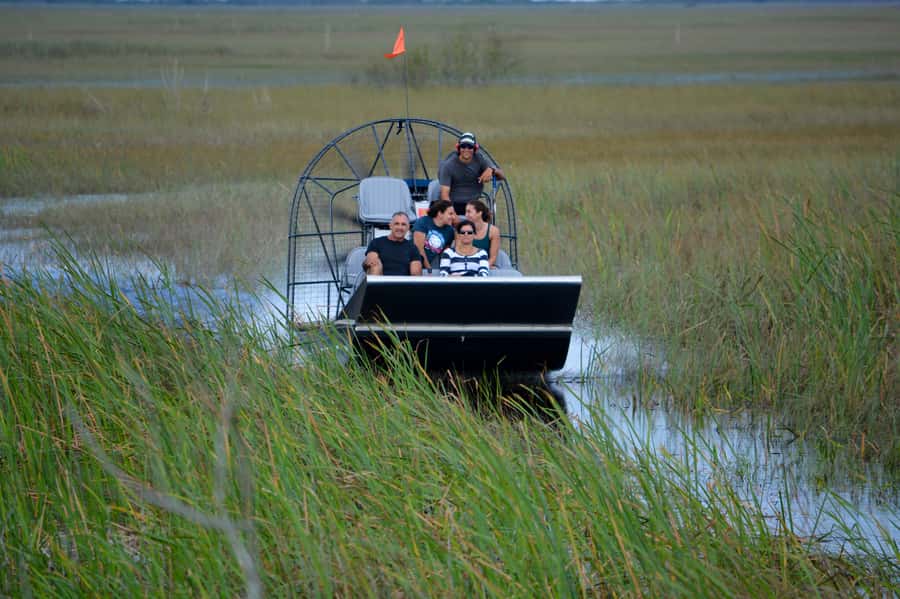 Miami: Everglades River of Grass Small Airboat Wildlife Tour - Starting at Dade Corners