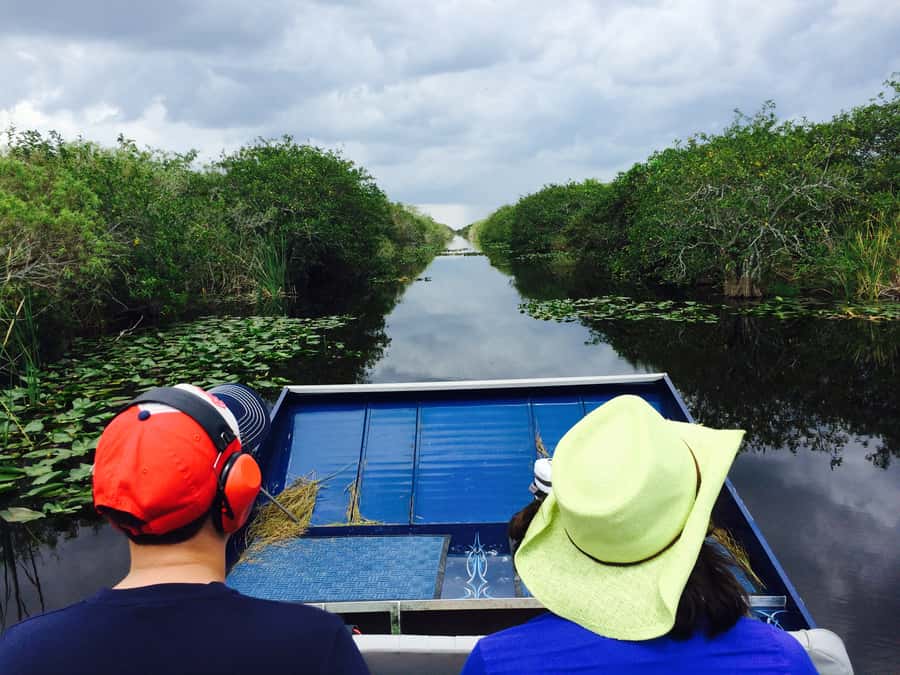 Miami: Everglades River of Grass Small Airboat Wildlife Tour - What the two-hour schedule feels like
