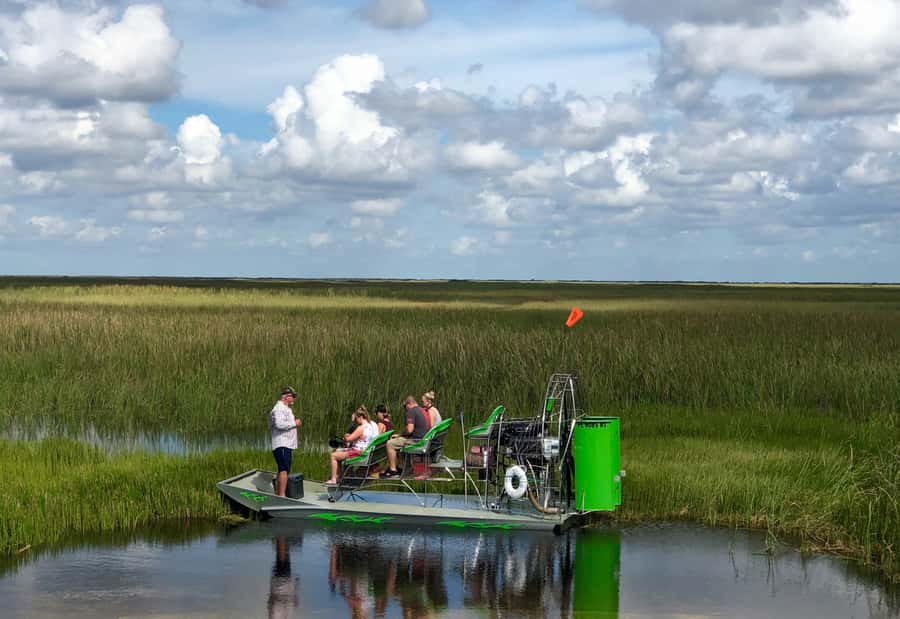 Miami: Everglades River of Grass Small Airboat Wildlife Tour - Booking advice and final call