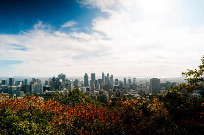 Montreal: Small Group Tour with River Cruise and Notre Dame - The guides make the biggest difference