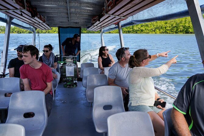 Morning Daintree Tour with River Cruise from Port Douglas - Why this half-day Daintree outing works