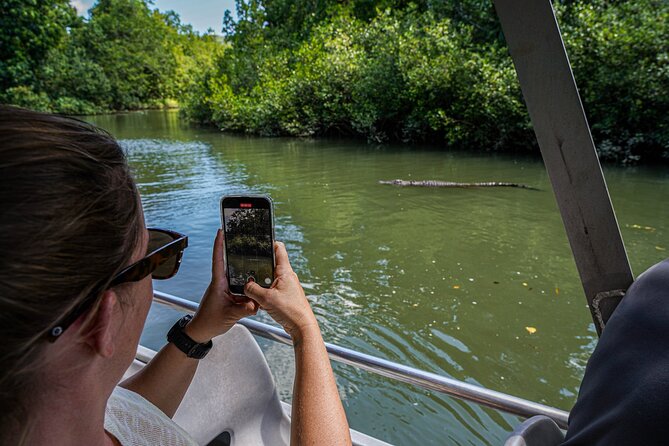 Morning Daintree Tour with River Cruise from Port Douglas - The rainforest swim: beautiful, refreshing, and weather dependent