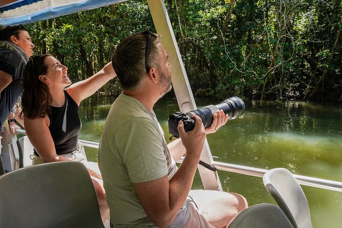 Morning Daintree Tour with River Cruise from Port Douglas - What weather and water conditions can change