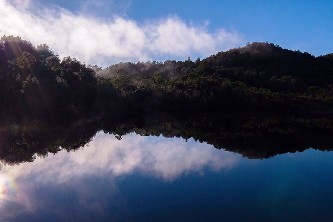 Morning World Heritage Cruise on the Gordon River from Strahan - Guides, commentary, and the value of interpretation