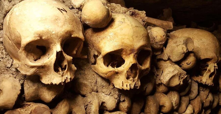 Paris: Catacombs Ticket and Seine River Cruise - Key points at a glance