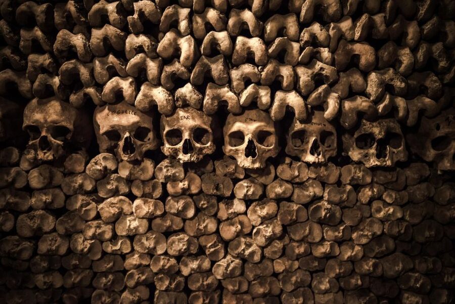 Paris: Catacombs Ticket and Seine River Cruise - What you see from the Seine boat