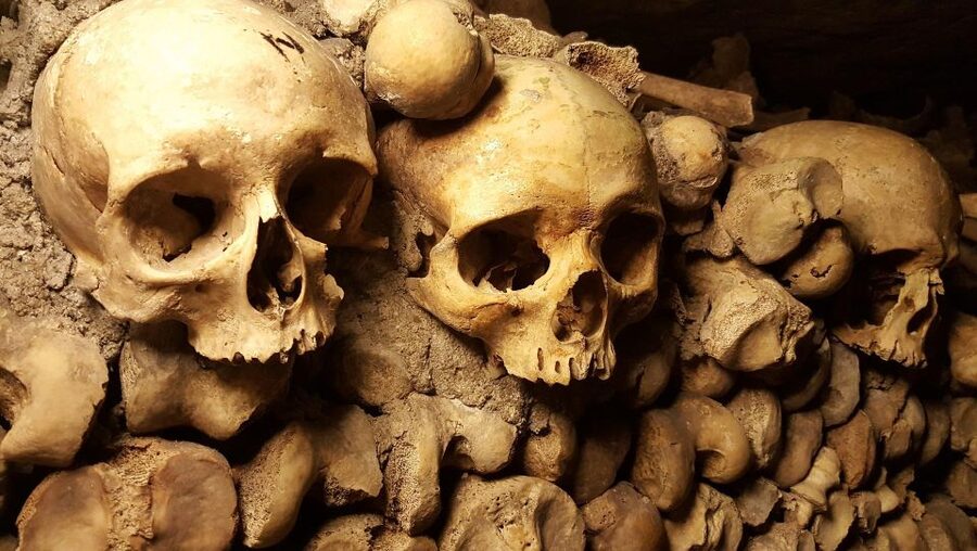 Paris: Catacombs Ticket and Seine River Cruise - Should you book it?