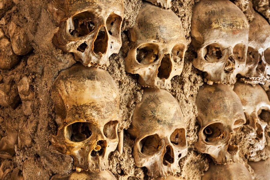 Paris: Catacombs Ticket and Seine River Cruise - The stair count matters more than the two-hour label