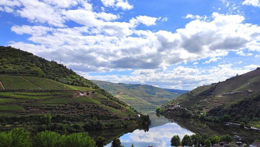 Pinhão: Douro River 50-min Boat Trip with Port Wine - The Port tasting and what it adds