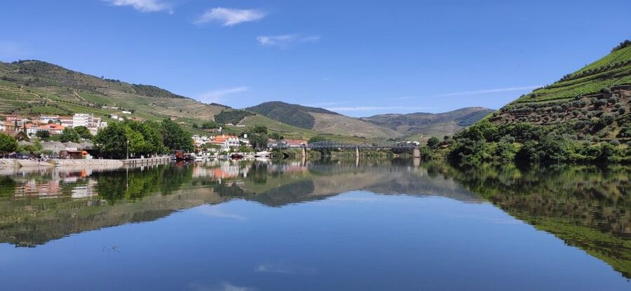 Pinhão: Douro River 50-min Boat Trip with Port Wine - A 50-minute route past famous quintas