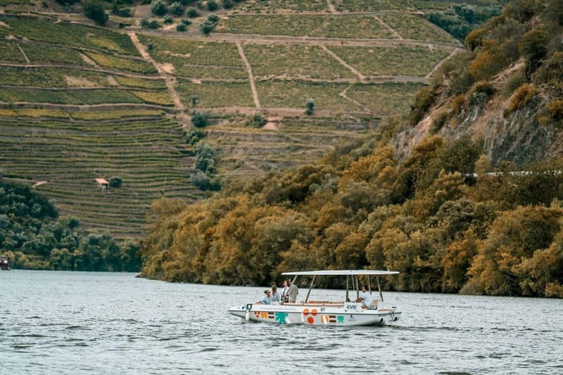 Pinhão: Douro River Solar Boat Tour with Wine Tasting - Price, group size, and overall value