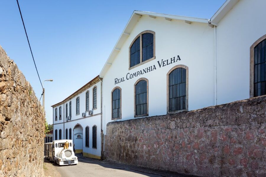 Porto: City Train Tour, River Cruise & Wine Cellar - The Douro cruise brings Porto’s best views