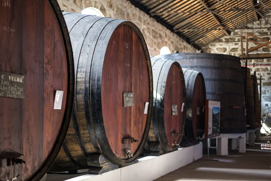 Porto: City Train Tour, River Cruise & Wine Cellar - Who should book this Porto combination?