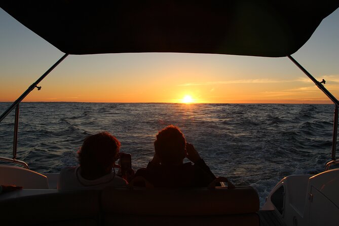 Porto Douro Private Cruise with Port Wine - The Luís I Bridge and Serra do Pilar
