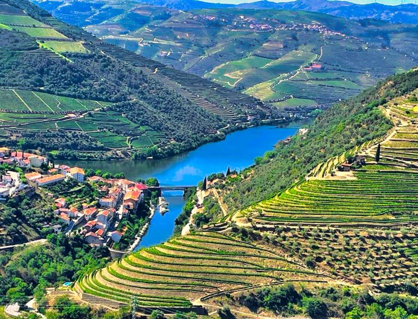 Porto: Douro Valley Private Tour 2 Vineyards & River Cruise - Key points to know before booking
