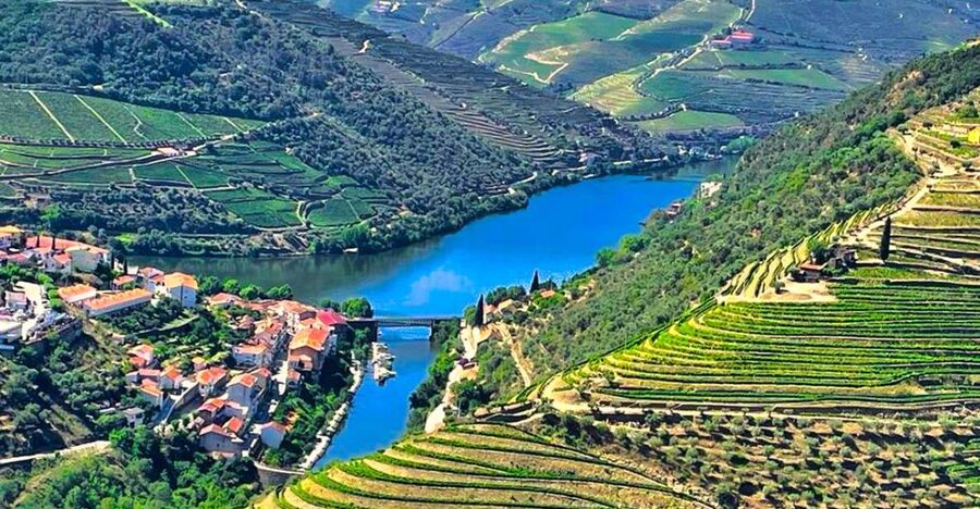 Porto: Douro Valley Private Tour 2 Vineyards & River Cruise - Why the Douro Valley makes a fine day trip from Porto