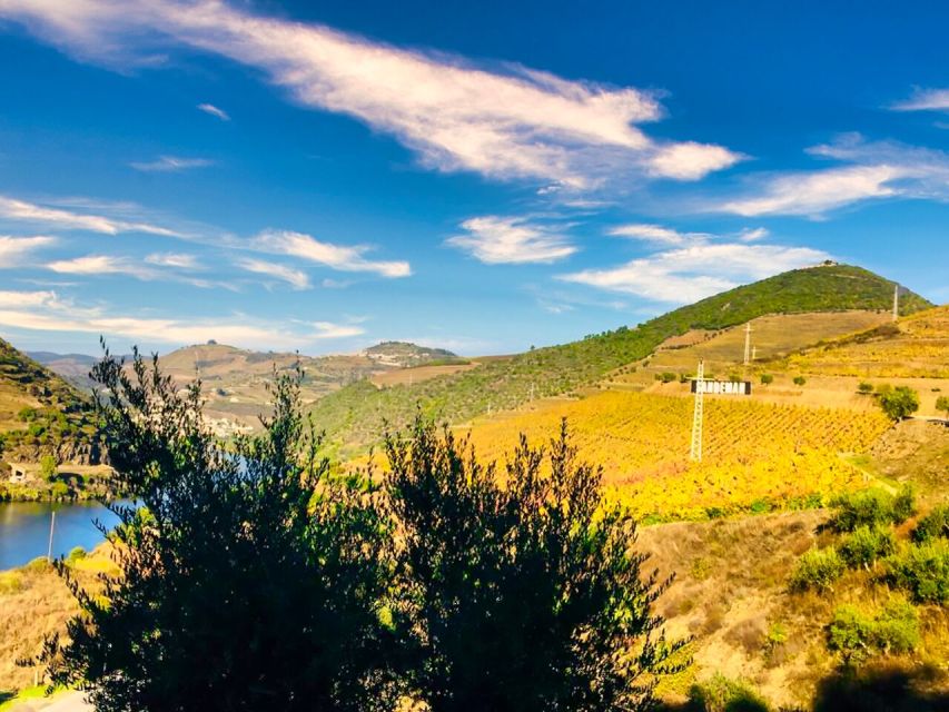 Porto: Douro Valley Private Tour 2 Vineyards & River Cruise - Lunch above the terraced vineyards