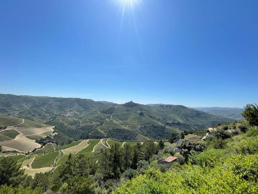 Porto: Douro Valley Private Tour 2 Vineyards & River Cruise - What the private format changes