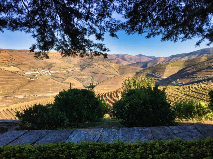 Porto: Douro Valley Private Tour 2 Vineyards & River Cruise - Guides, languages, and the tone of the day
