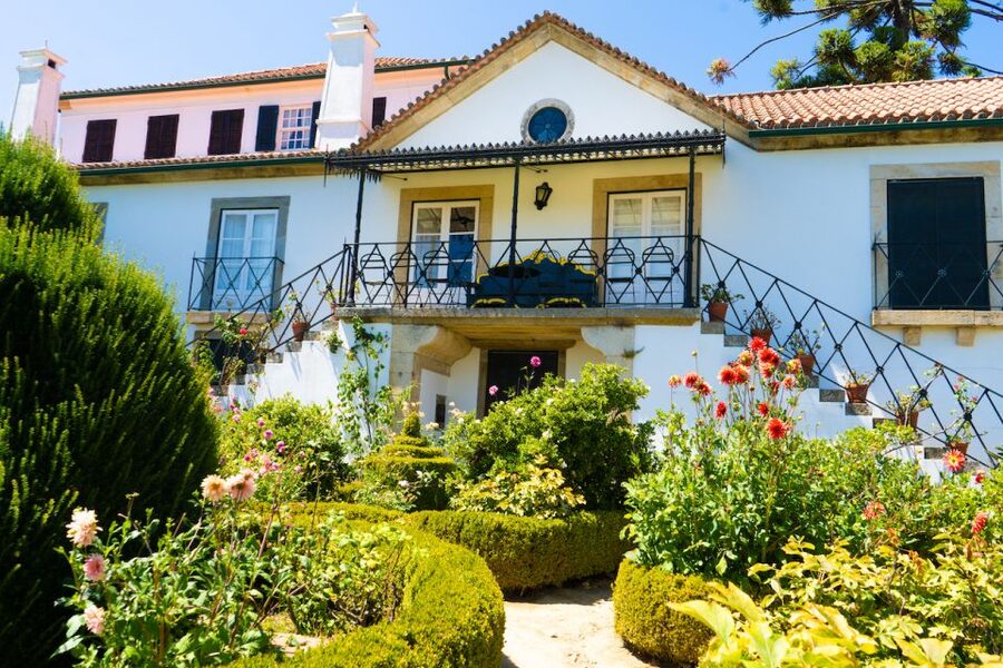 Porto: Douro Valley Tour with Lunch, Boat Cruise & Tastings - The 1959 wine cooperative explains the working Douro