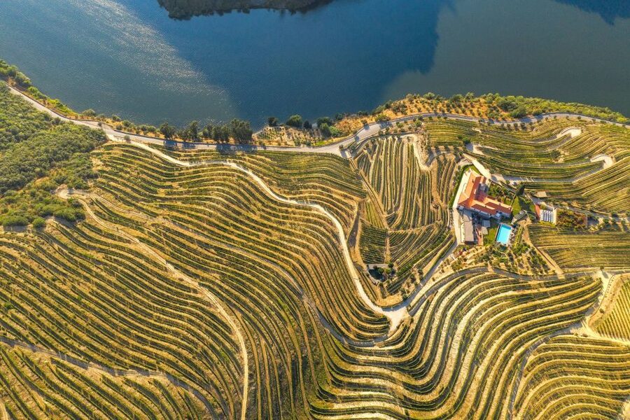 Porto: Douro Valley Tour with Lunch, Boat Cruise & Tastings - A second tasting brings in Port and olive oil