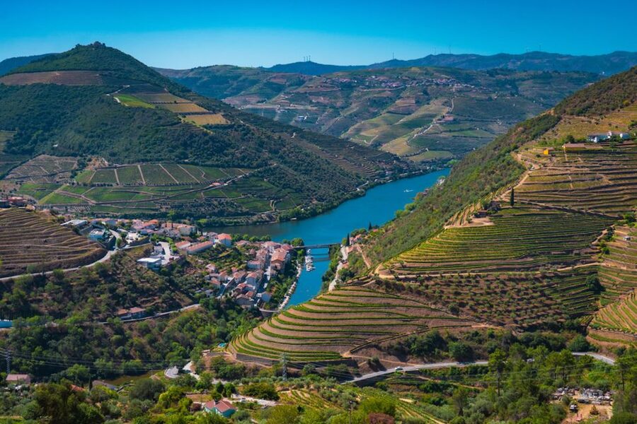 Porto: Douro Valley Tour with Lunch, Boat Cruise & Tastings - The N222 turns the return journey into an attraction
