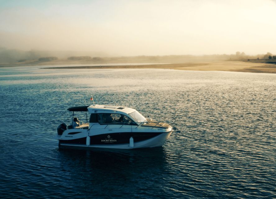 Porto: Private Boat Tour in Douro River - Who will enjoy this boat tour most?