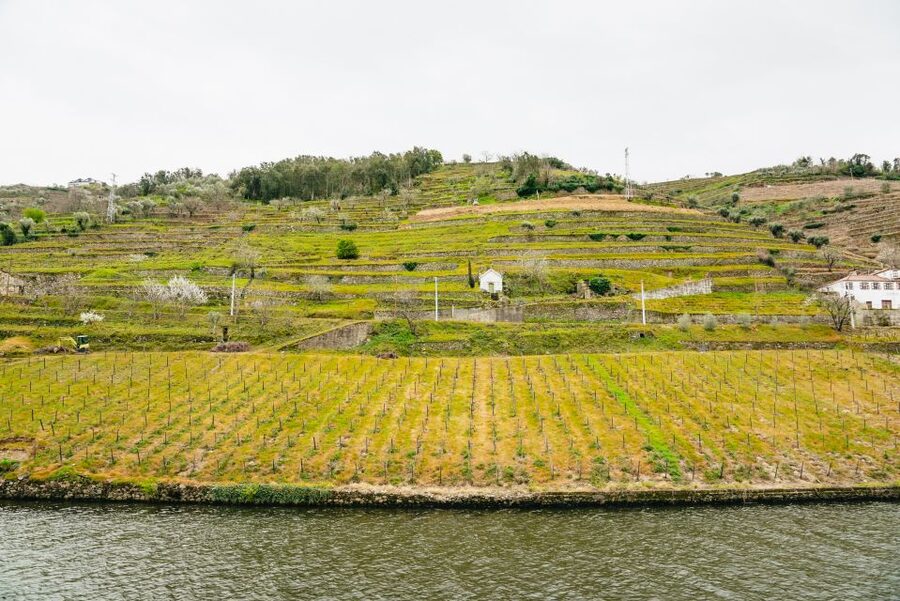 Porto - Régua - Porto Upstream Douro Cruise & Tour - Lunch is the strongest value in the package