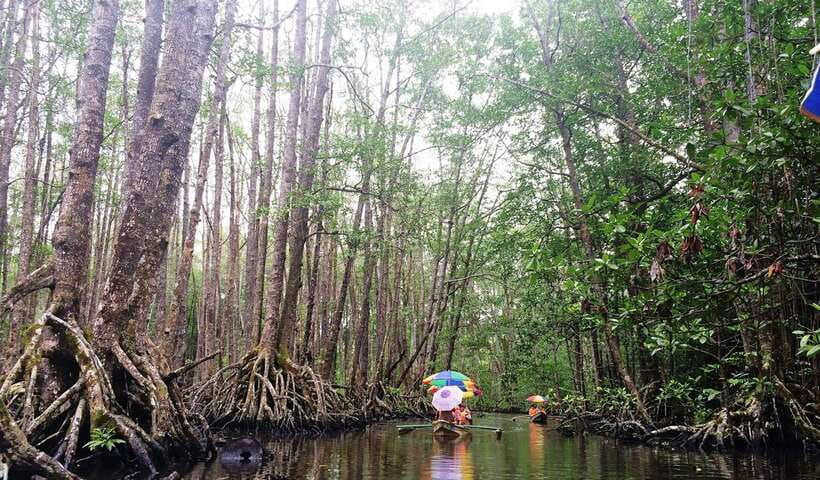 Puerto Princesa: Underground River, Zipline, Paddleboat Tour - Should you book it?